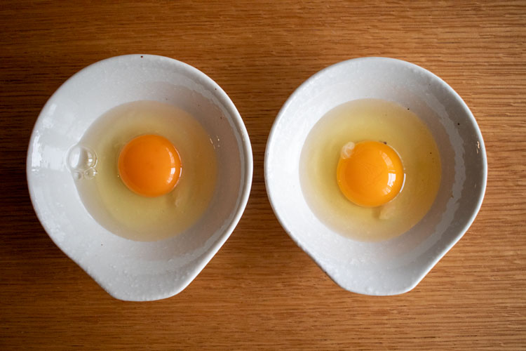 一般的な卵と平飼卵